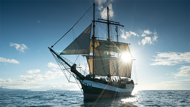 Charting course to British Isles aboard the historic tall ship "Pelican of London."